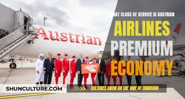 Austrian Airlines Premium Economy: What Class of Service?