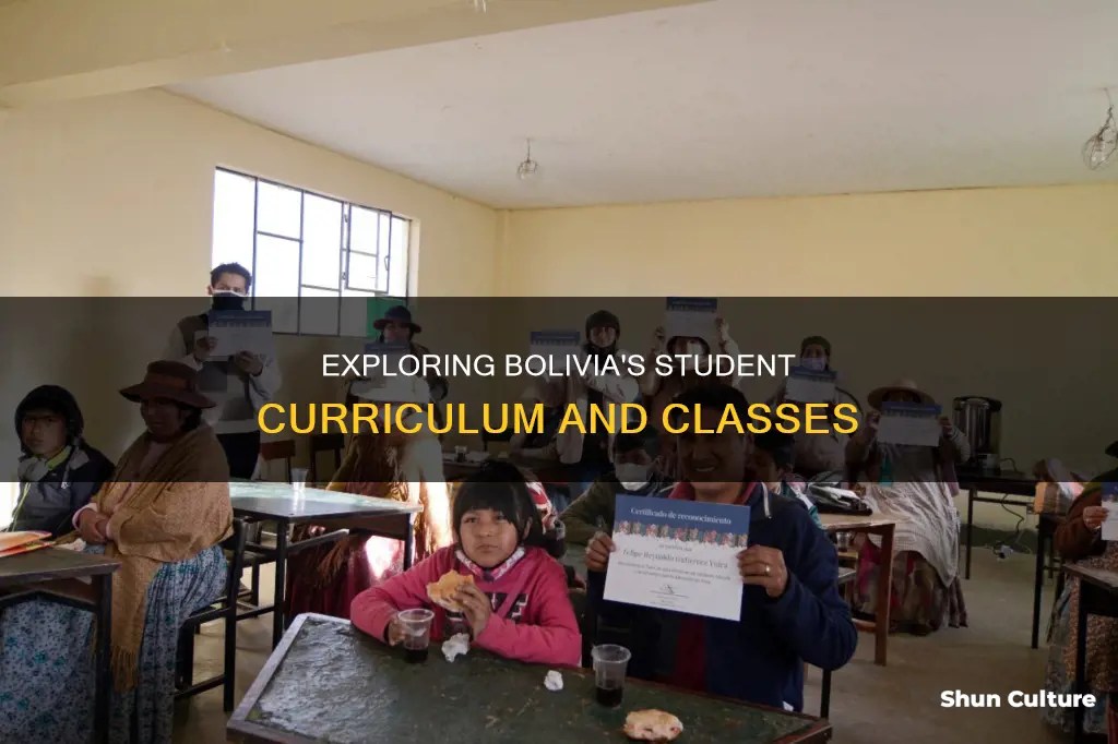 what classes to students in bolivia take