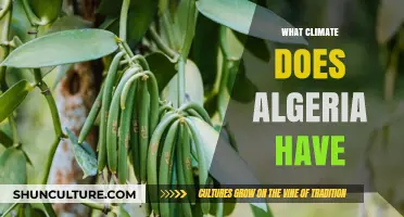 Exploring Algeria's Diverse Climate: From Desert Heat to Mediterranean Breezes