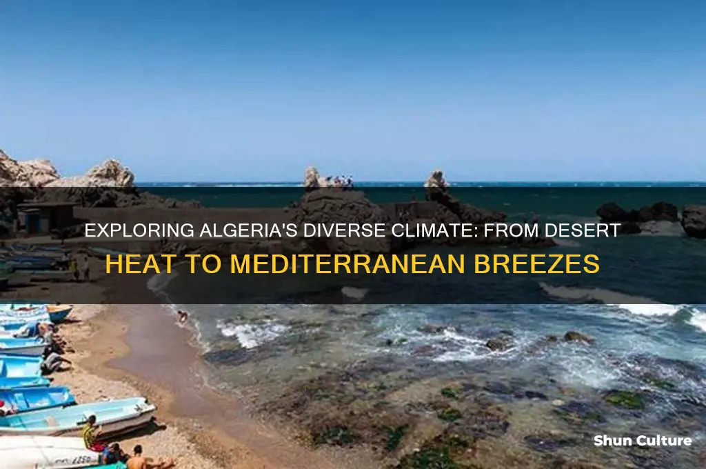 what climate does algeria have