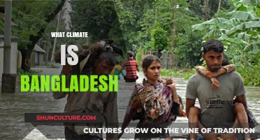 Exploring Bangladesh's Tropical Monsoon Climate: Patterns, Impacts, and Adaptations