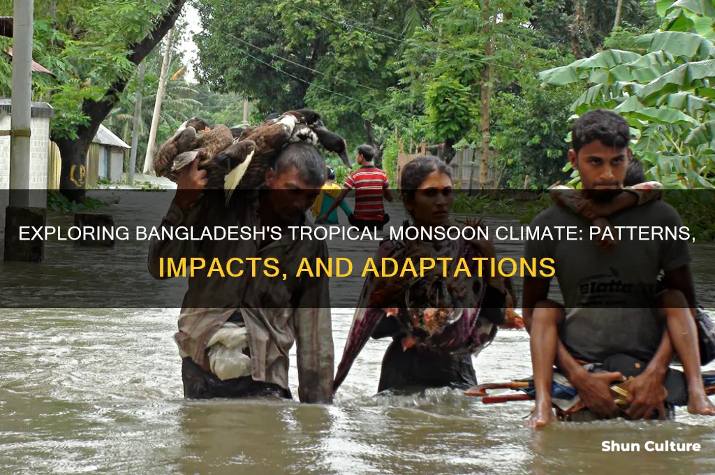 what climate is bangladesh