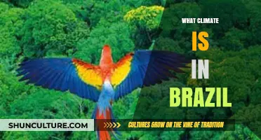 Exploring Brazil's Diverse Climate: From Amazon Rainforest to Tropical Coasts