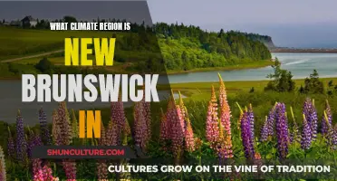 The Climate of New Brunswick