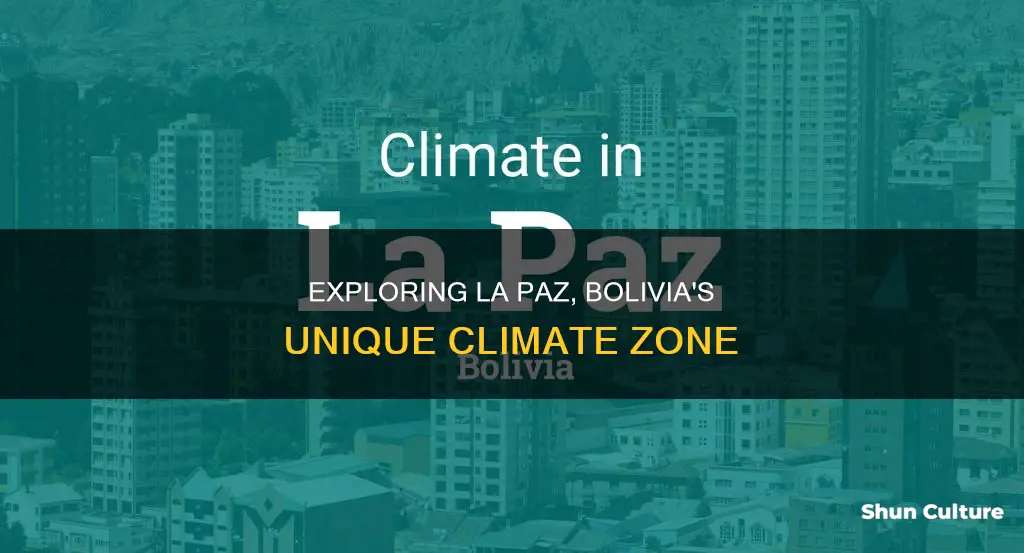 what climate zone is la paz bolivia