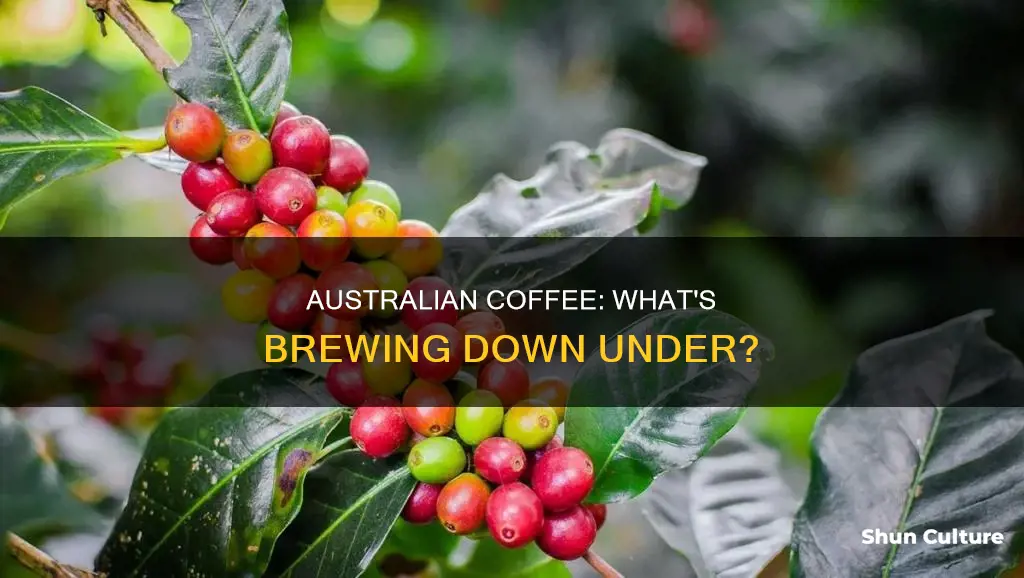 what coffee is made in australia