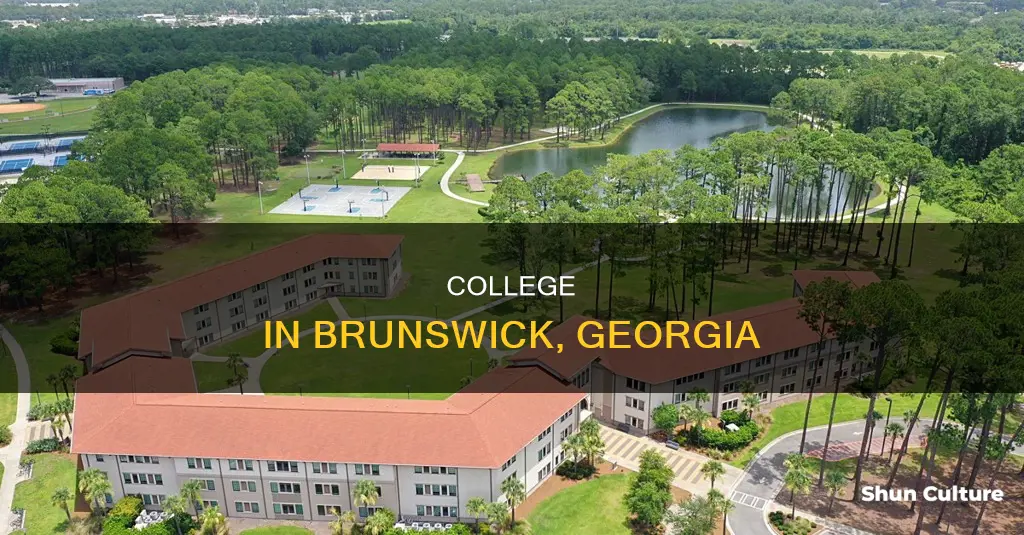 what college is in brunswick ga