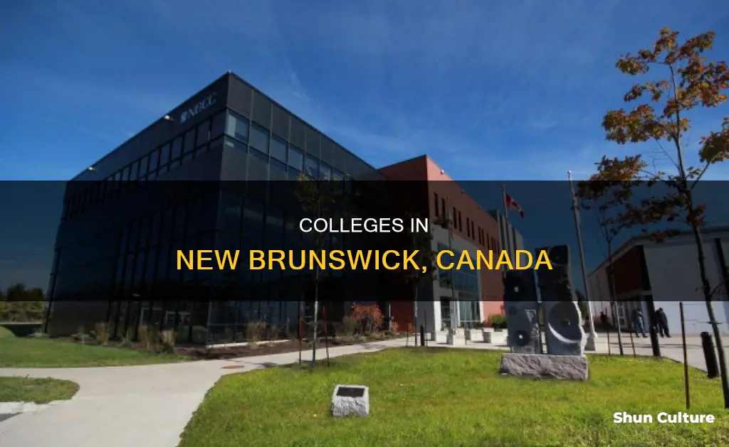 what colleges are in new brunswick canada