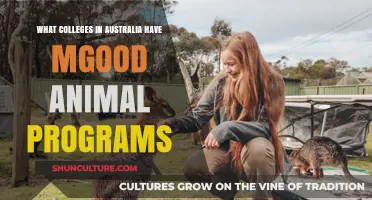 Best Australian Colleges for Animal-Centric Programs