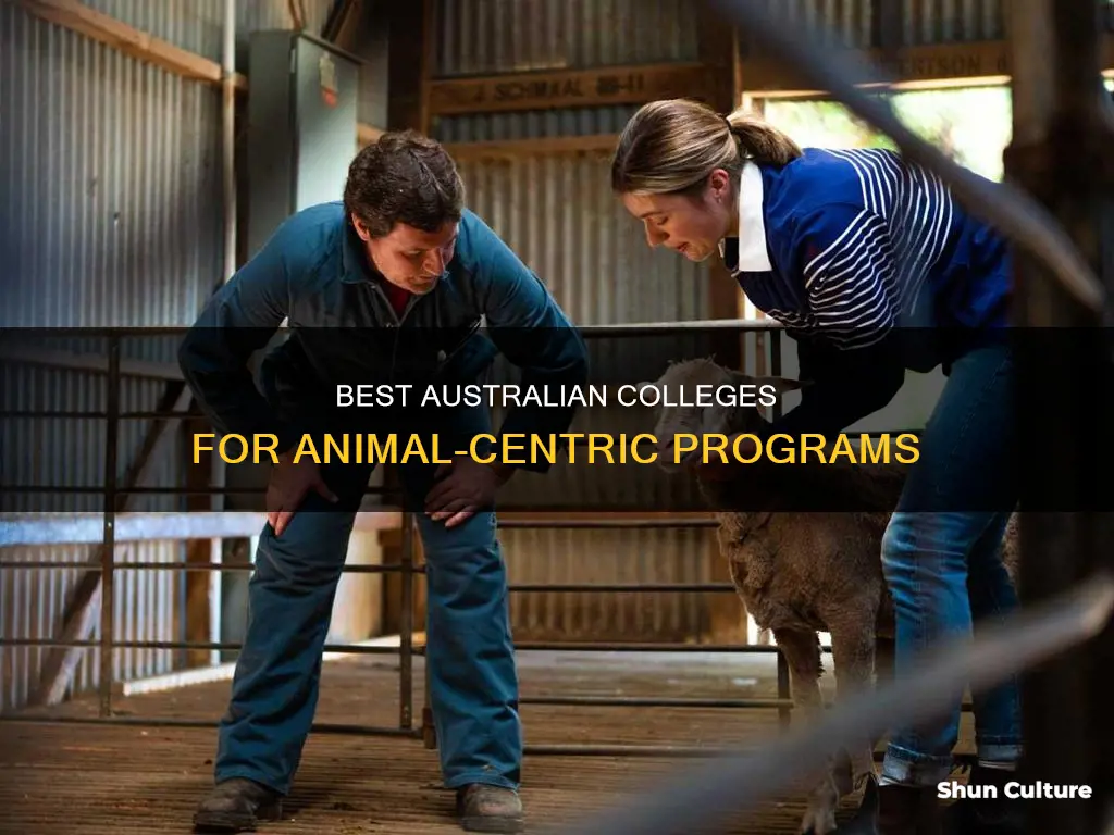 what colleges in australia have mgood animal programs