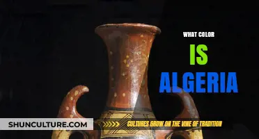 Exploring Algeria's Cultural and Natural Color Palette: A Vibrant Journey