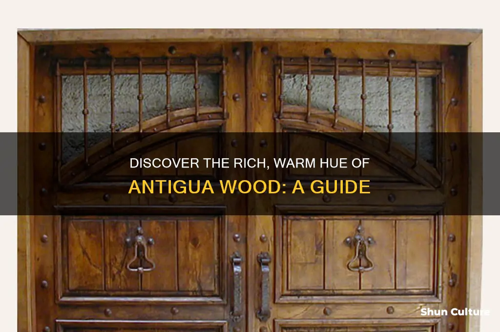 what color is antigua wood