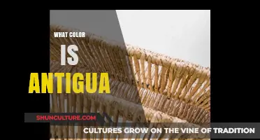 Discovering Antigua's Vibrant Palette: A Journey Through Its Natural Colors