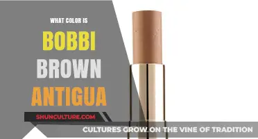 Discover the Stunning Shade of Bobbi Brown's Antigua Lipstick
