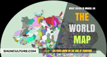 Exploring Brazil's Unique Color Representation on the World Map