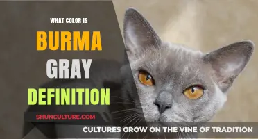 Exploring the Unique Shade: What Is Burma Gray?