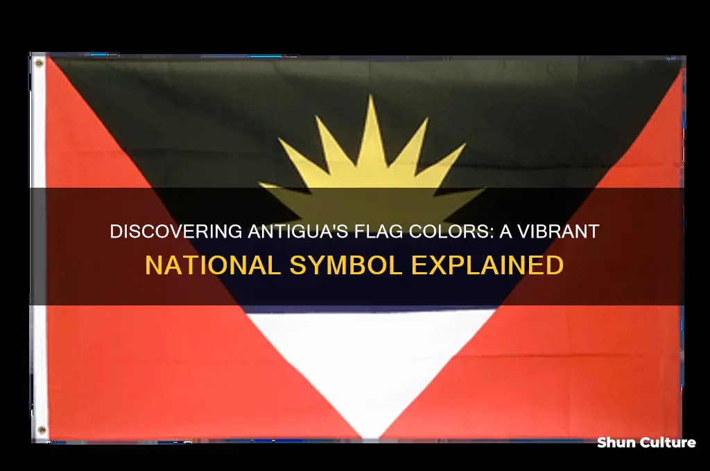 what color is the antigua flag