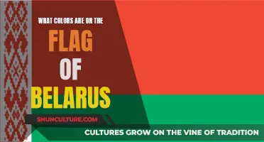 Belarus' Flag: A Colorful History and Meaning