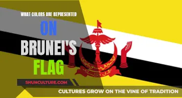 Brunei's Flag: The Meaning Behind Its Colors