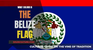 The Belize Flag: A Study in Blue, Red, and White