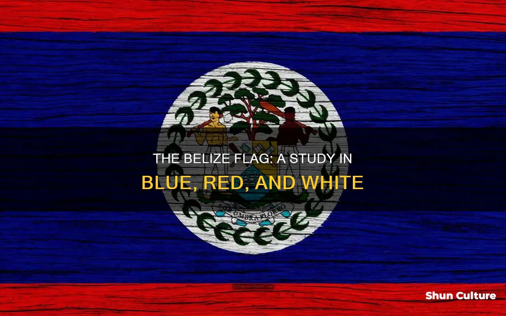 what colour is the belize flag