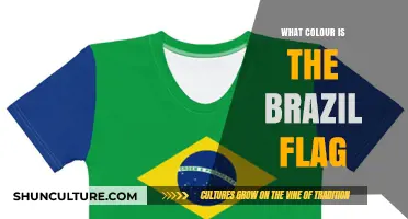 Exploring the Vibrant Colors of Brazil's National Flag: A Guide