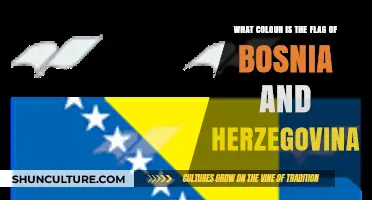 Exploring Bosnia and Herzegovina's Flag: Colors, Meaning, and History