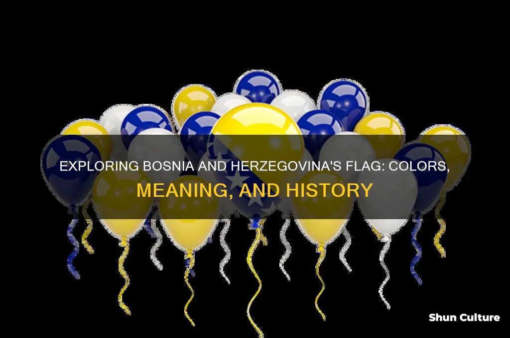 what colour is the flag of bosnia and herzegovina