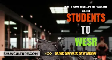 Antigua State College Dress Code: What Color Shoes Should Students Wear?