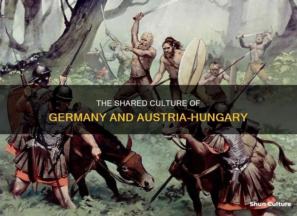 what common culture did germany and austria hungary have