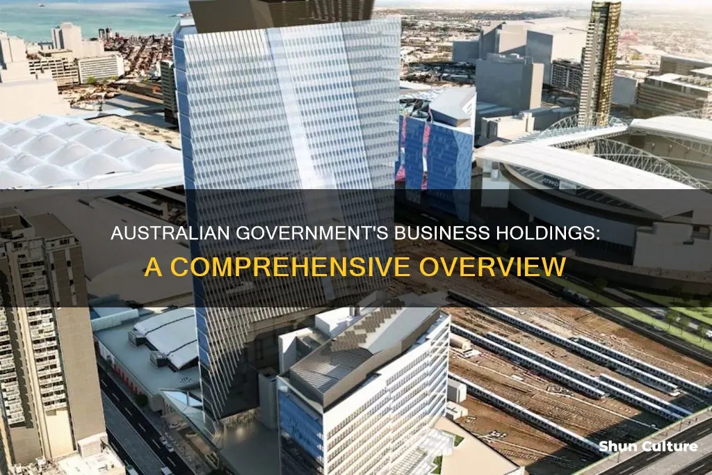what companies does australian government owned