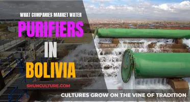 Water Purifiers in Bolivia: Top Company Marketing Strategies