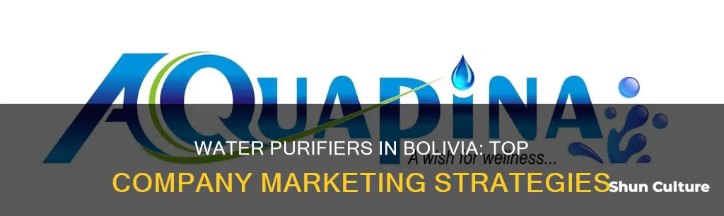 what companies market water purifiers in bolivia