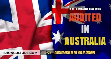 Australian Audit Requirements: Which Companies Must Comply and Why