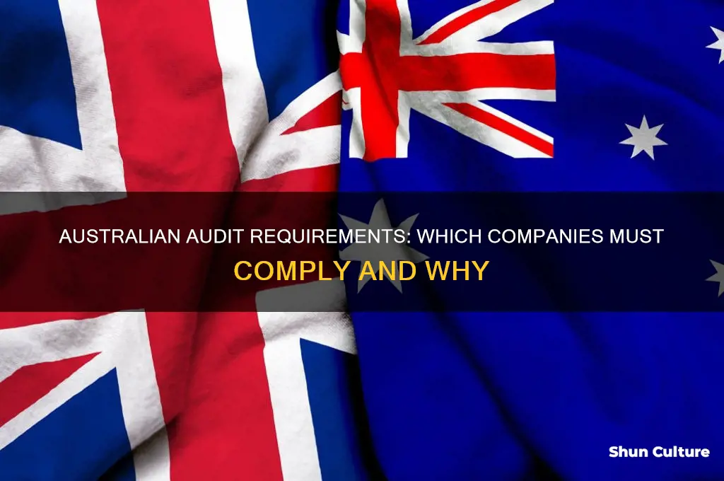 what companies need to be audited in australia