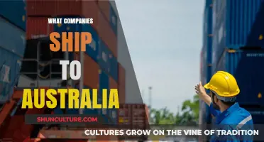 Australian Shipping: Which Companies Deliver Down Under?
