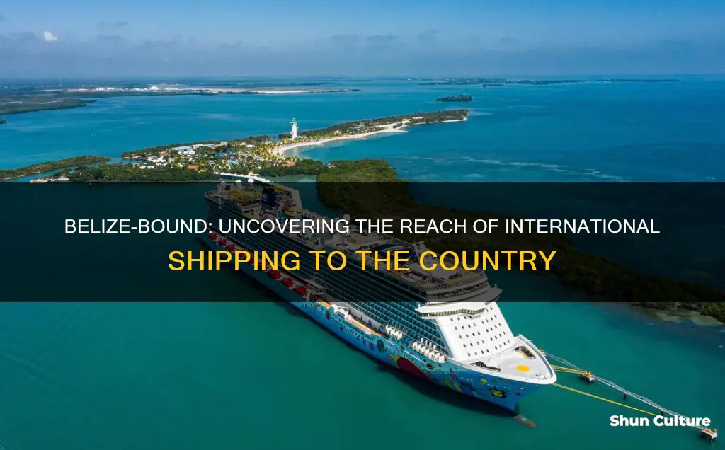 what companies ship to belize