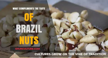 Enhance Your Snack: Perfect Pairings to Complement Brazil Nuts' Unique Flavor