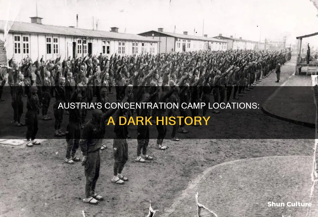 what concentration camps were located in austria