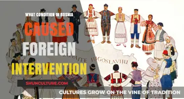 Bosnia's Ethnic Tensions and Political Crisis: Catalysts for Foreign Intervention