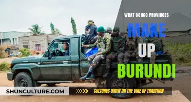 Exploring Burundi's Roots: The Congolese Provinces That Shaped It