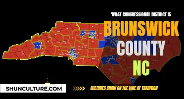 Brunswick County: North Carolina's 7th District