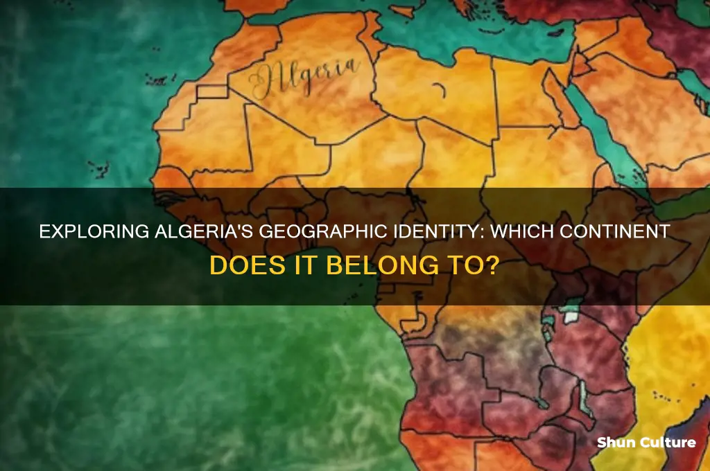 what continent algeria