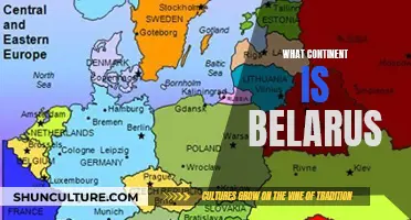 Belarus' Geographical Location: A Continental Conundrum