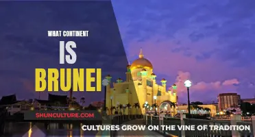 Brunei's Geographical Location: A Continental Overview