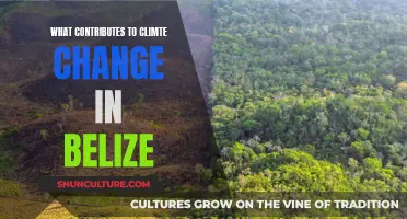 Belize's Battle with Climate Change: Understanding the Contributors