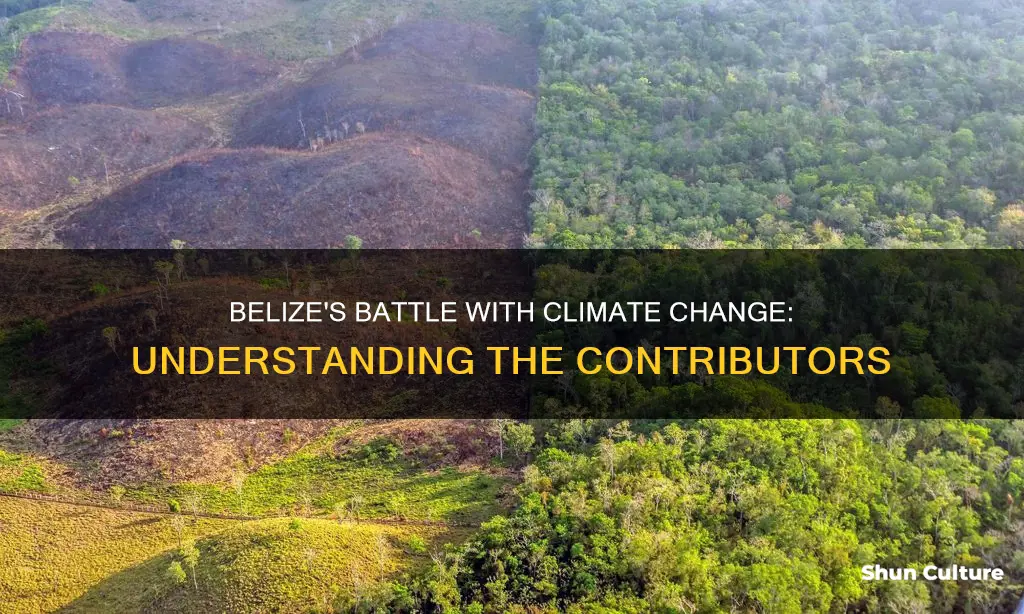 what contributes to climte change in belize