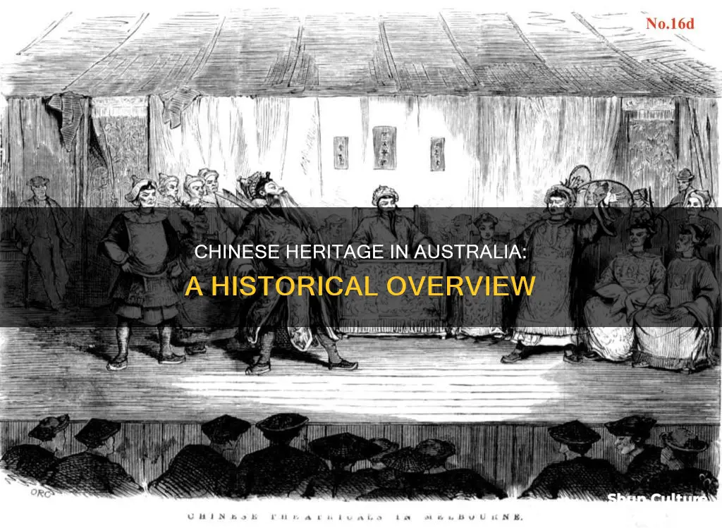 what contributions did the chinese make to australia