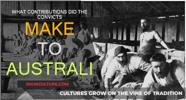 Convicts' Contributions: Shaping Australia's Early History
