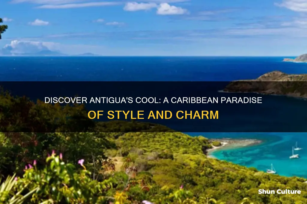 what cool looks like antigua